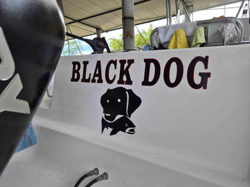 2008 Pro Line Boat Lettering from Michael A, FL