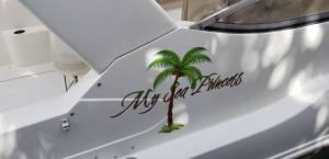 Excel 27 ft. cabin cruiser Lettering from Gabriel S, FL