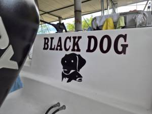 2008 Pro Line Boat Lettering from Michael A, FL