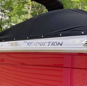 2021 Regal LS6 Boat Lettering from Thomas A, MA