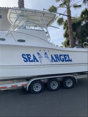 30’ ProKat & 65’ Hatteras Boat graphics marine grade are absolutely great quality  Lettering from Michael D, CA