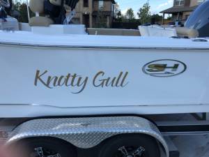2018 Sea Hunt Ultra 234 Boat hull Lettering from William M, TX