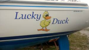 Lettering from Douglas A, FL