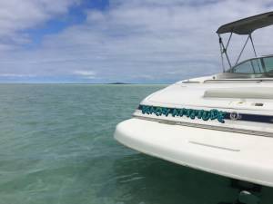 Picture from MICHELLE G, HI