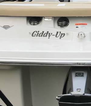 2015 Glastron 185GT Boat Lettering from Andrea C, MN