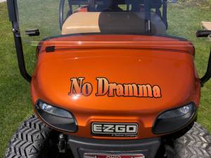 2015 Ezgo txt  Golf cart at the marina Lettering from Dennis B, OH