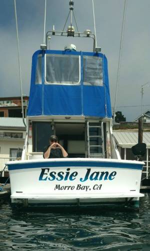 Picture from Tamara T, CA