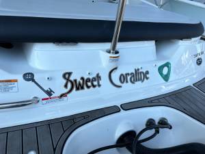 2023 SeaRay  Boat Lettering from Don T, FL